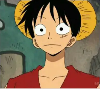 Par qui Luffy allait-il se faire exécuter ?