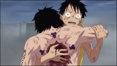 Quel est l'arc de cette photo ?