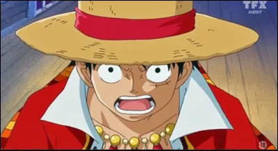 Quel âge a Luffy actuellement ? (Wano)