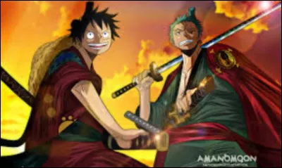 Que faisait Zoro avant de rejoindre Luffy ?