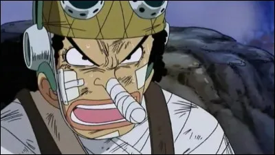 Usopp s'est déjà battu avec un membre de l'équipage, lequel ?