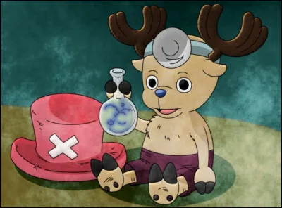 Quel est le vrai nom de Chopper ?