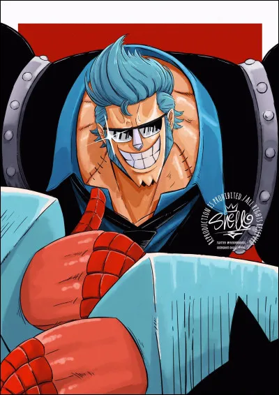 Qu'est-il écrit sur les bras de Franky ?