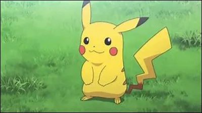 Quel est ce Pok&eacute;mon ?