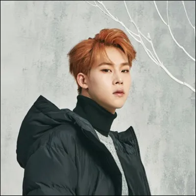 Jooheon (Monsta X) est n&eacute; le :