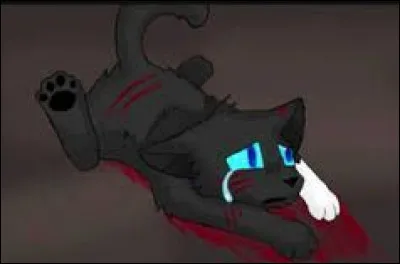 Tu as fait une énorme bêtise ! Un de tes frères et surs est mort par ta faute... Tu ne seras apprenti que dans quatre lunes ; tout le monde te déteste et se moque de toi, même ta famille.