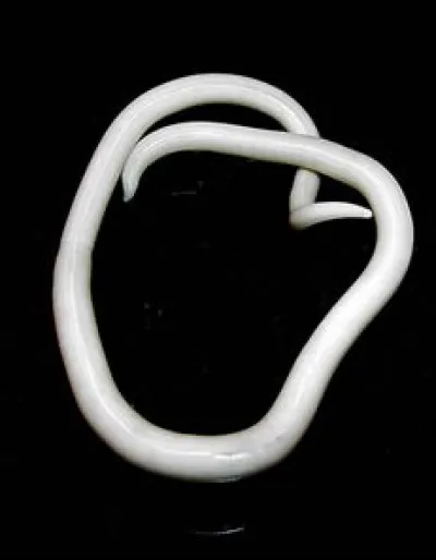 En 1998, qui a reçu le César de la meilleure actrice ?