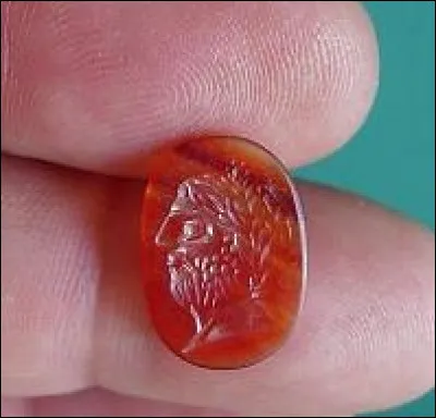 Il existe en Afrique un serpent minute. D'où provient cet adjectif ?