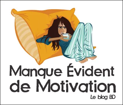 Je vous ai posé deux fois la même question !