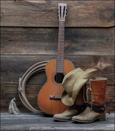 Qui chantait "Si seulement je pouvais lui manquer" ?