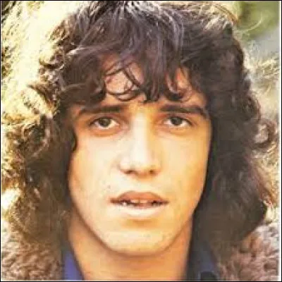 Julien Clerc a chanté ''La Californie'', un État très riche musicalement. Parmi ces groupes que j'apprécie, lequel n'est pas californien ?