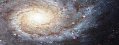 La Voie lactée est née du lait de la déesse Héra.