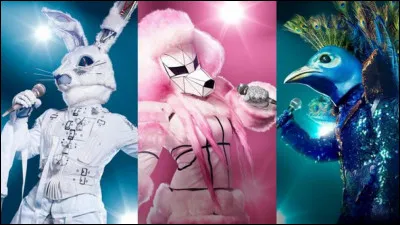 Complétez le titre cette émission : "Mask...".