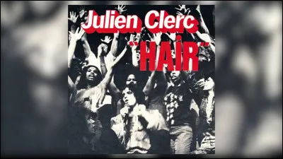 Julien Clerc (Laissons entrer le soleil)
"Chantons nos rêves d'espoir, sur un sitar, sitar"