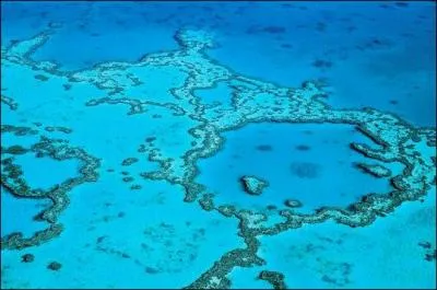 C'est une barrire de corail...En ocanie... Mais o ?