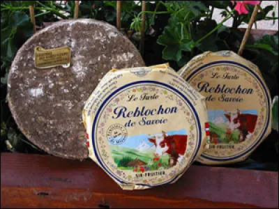 Et peut-être mon chien - S'il est encore là - J'irai dormir chez ...