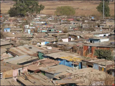Quand ça cause le reggae - Ca explose reggae !