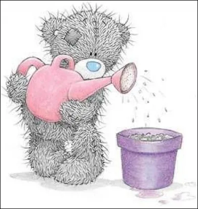 "Il faut cultiver notre jardin". Quelle uvre de Voltaire vous évoque cette phrase ?