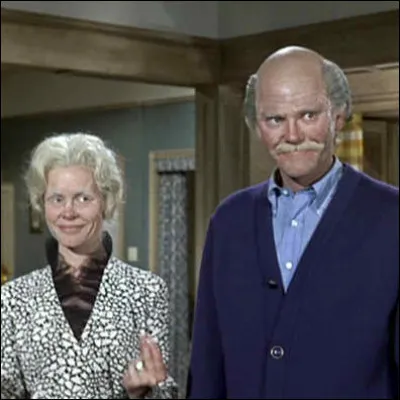 Pourquoi Elisabeth Montgomery et Dick Sargent sont-ils devenus vieux ?