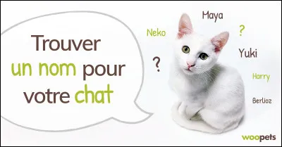 Ta famille te laisse lui choisir un nom :