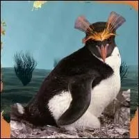 Quel est le nom de cet animal ?