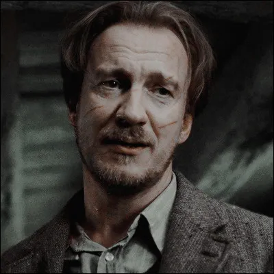 Et pour finir avec le meilleur acteur au monde pour moi : 
quel est le nom entier de l'acteur qui fait Remus Lupin ?