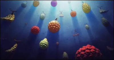 Quel est le nom du fruit de la chance ?