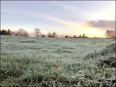 "Cinq heures du mat, j'ai des frissons" sont des paroles du groupe...