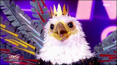 Quel événement a choqué le plateau à propos de l'aigle ?