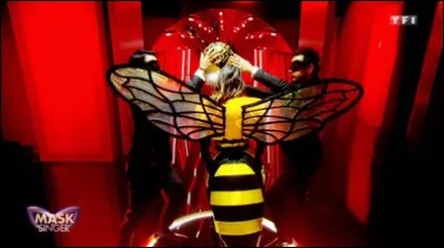 Qui était sous le costume de l'abeille ?