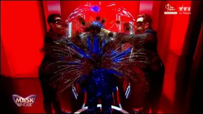 Qui se cachait sous le costume du paon ?