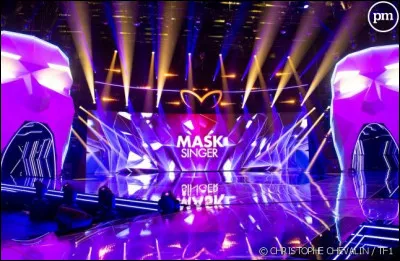 Quel est le premier costume qui a été démasqué le vendredi 8 novembre 2019 ?