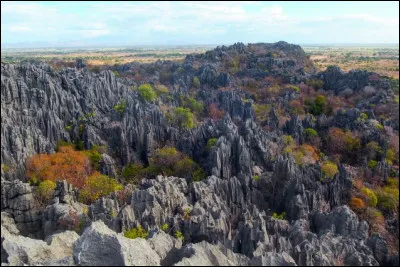 A présent, je vous invite à remonter de l'autre côté du continent, le long de la côte Est. Nous nous arrêtons sur une immense île connue de tous... Madagascar ! Tout à fait au Nord de l'île se situe une réserve naturelle à caractère sacré. Elle présente un grand intérêt géologique, en raison de ses grottes datant du Jurassique. Il s'agit...