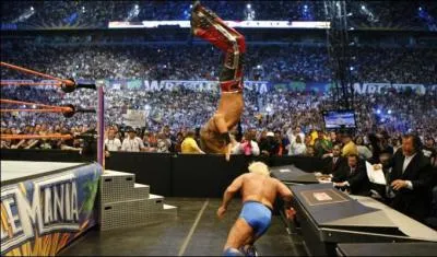 Comment s'appelle cette prise ?