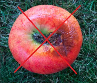 Laquelle n'est pas une variété de pomme ?