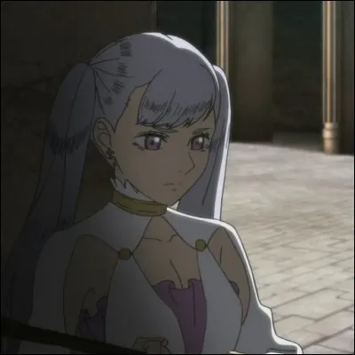 Quel est le nom de famille de Noelle ?