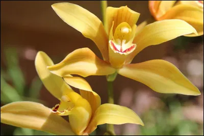 Trouvez le titre d'un roman !