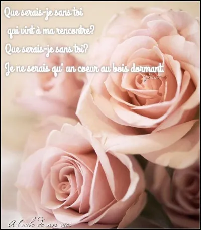 Lequel de ces chanteurs est le compositeur-interprète de "Que serai-je sans toi" en 1964 ?