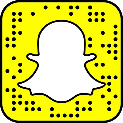 Sur Snapchat, tu es plutôt du genre...