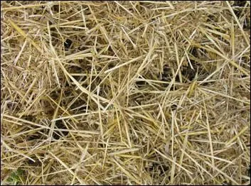 Comment appelle t-on la chose qu'on met dans le box d'un cheval ?