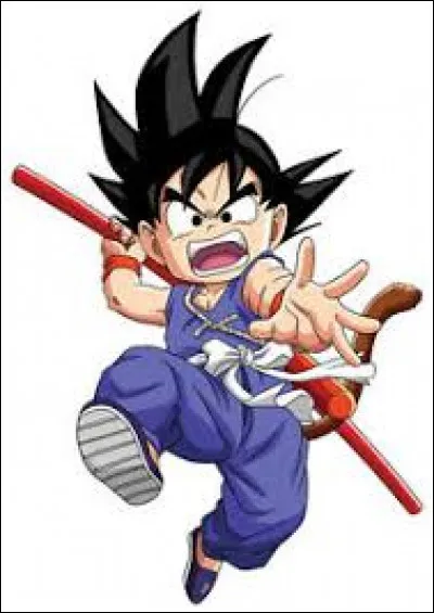 Comment s'appelle la mère de San Goku ?