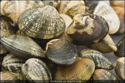 Mais elles vous seront présentées surmontées de nombreux fruits de mer frais dans leurs coquilles !