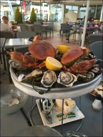 Quel crabe crève les yeux sur ce beau plateau ?