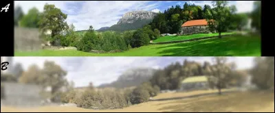 Quel animal voit le paysage B ?