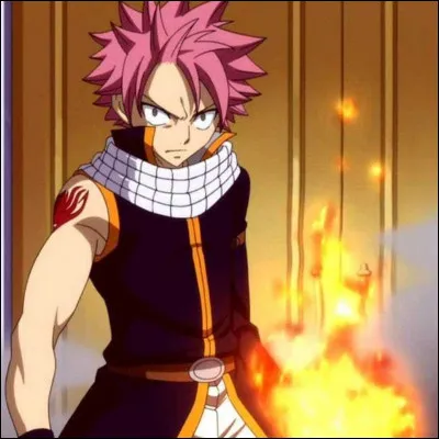 Quel est le surnom de Natsu ?
