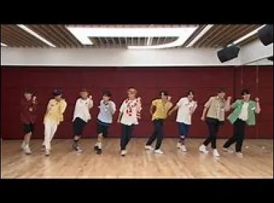 Qui sont les danseurs principaux des Stray Kids (dance racha) ?