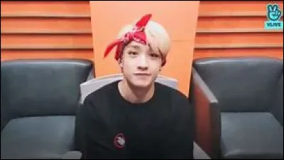 Comment Bang Chan a-t-il appelé son mur (dans ces Vlive) ?