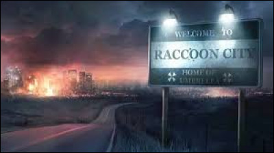 Pour quelle raison, Claire Redfield vient-elle à Racoon City ?