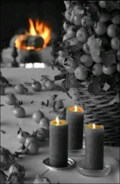 Qui est l'auteur du livre"La flamme d'une chandelle" ?