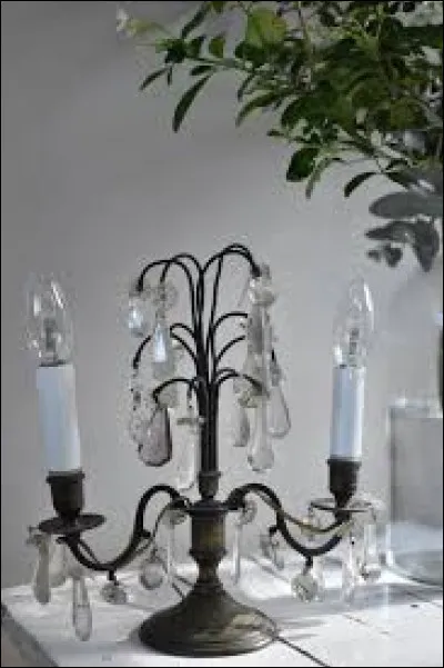 Que voyez-vous sur l'image ?